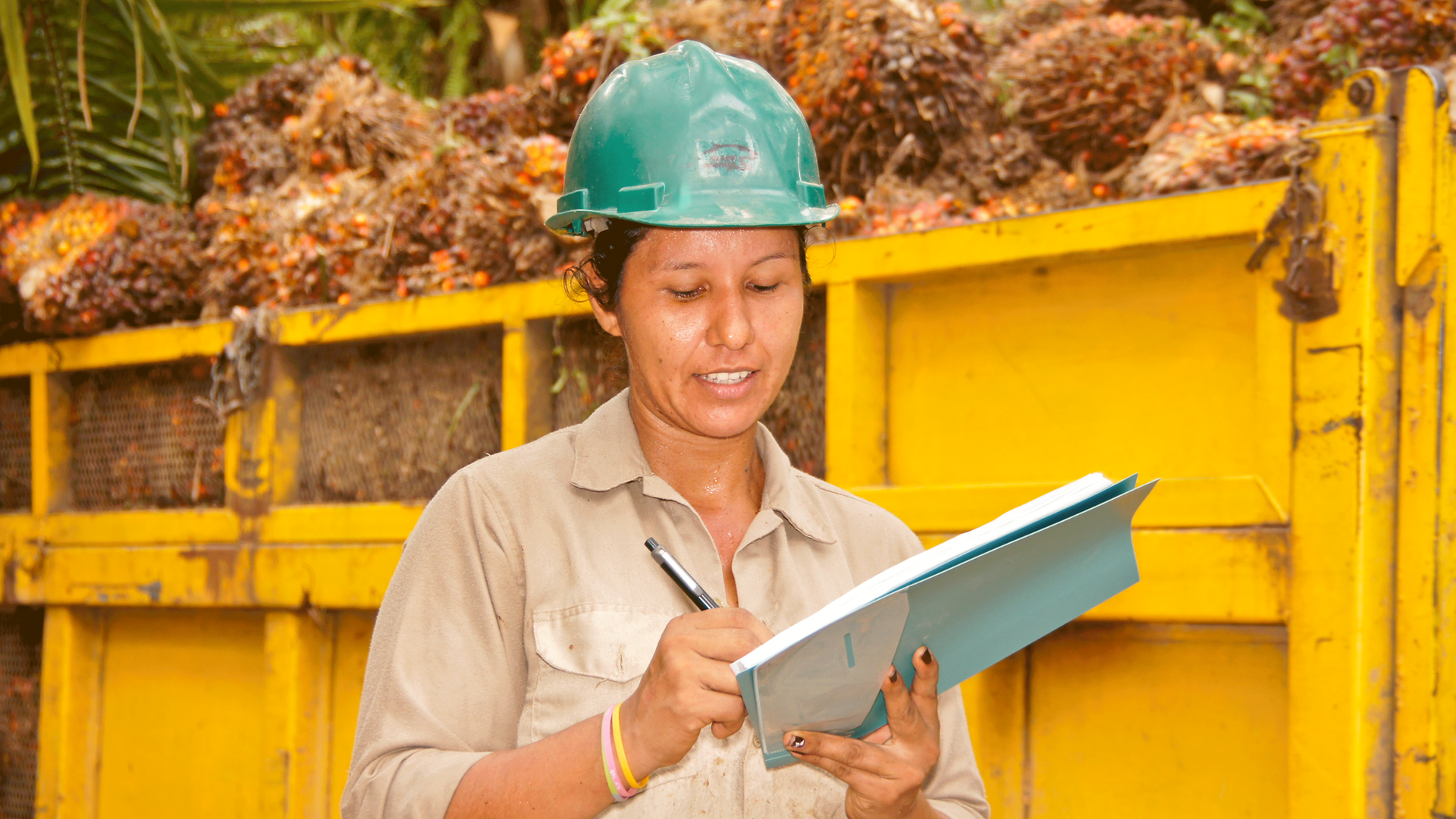 Creating traceability in the palm oil supply chain