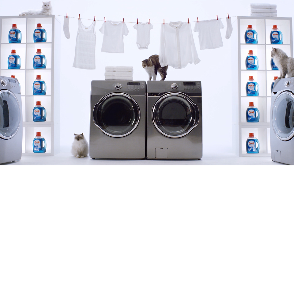 Persil® ProClean® laundry detergent has something in store for all cat lovers. When it comes to clean, nobody’s pickier than our feline friends.